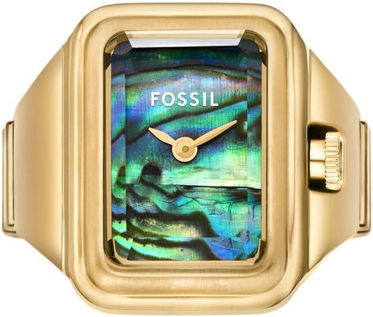 Avis sur la montre Fossil ES5411 en acier inoxydable